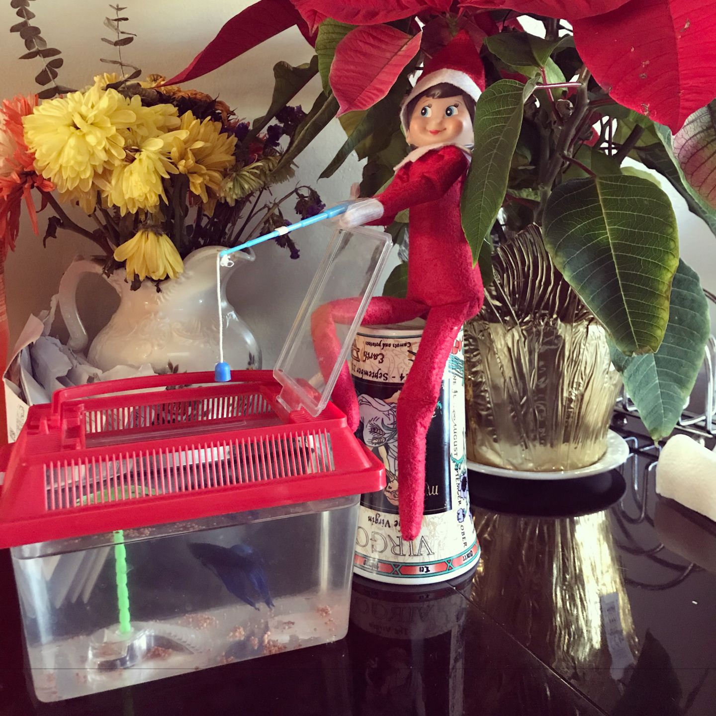 Elf on the Shelf